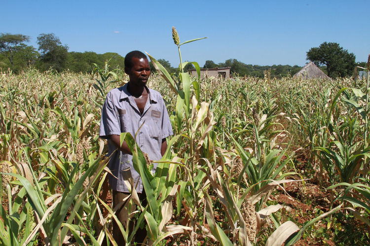 LOWVELD: The coming of the dry season | The Sunday Mail