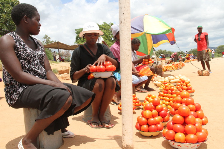 Dry times in Mutoko district | The Sunday Mail