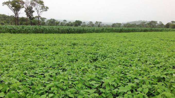 Agric season preps to start early