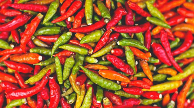 Zimbabwe can win sweet deals from chilli exports