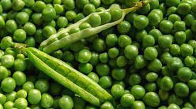 Peas can be a boon for local producers