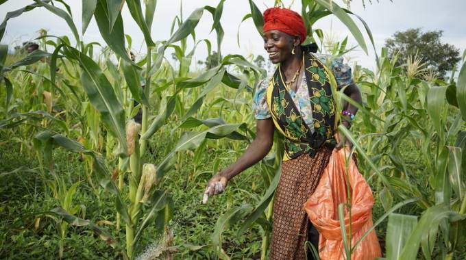 Managing too much rains for farmers