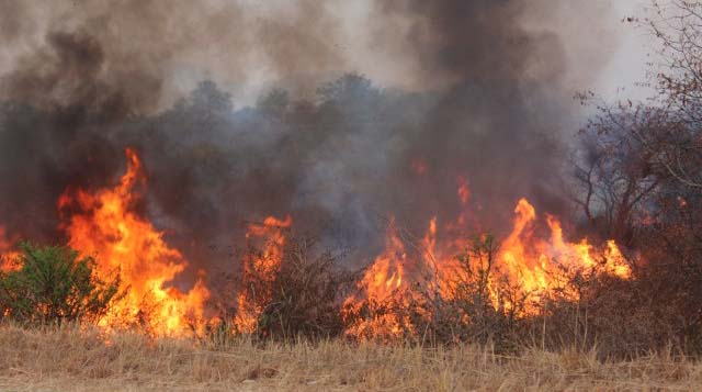 NEW: Country at high risk of veld fires | The Sunday Mail