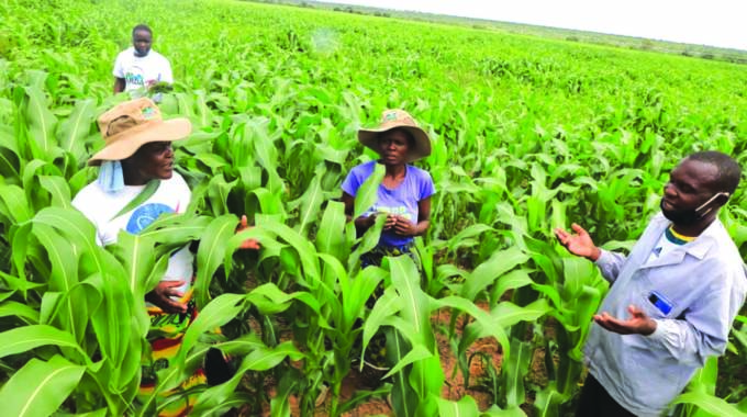 Bubi-lupane Irrigation Scheme Changing Lives 