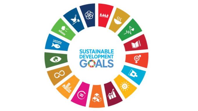 Realising SDG goals through CSR in Zim | The Sunday Mail