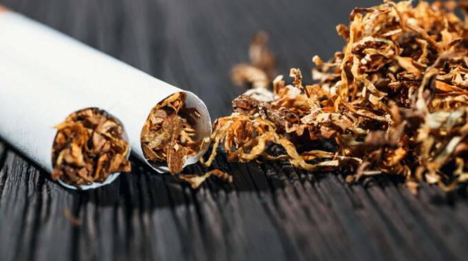 Firm to build US$80m tobacco processing plant | The Sunday Mail