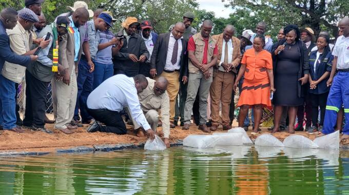 NEW: Zimbabwe targets to produce 60 000 tonnes of fish per year | The ...